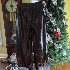 Dark Brown Faux Leather Parachute Pants